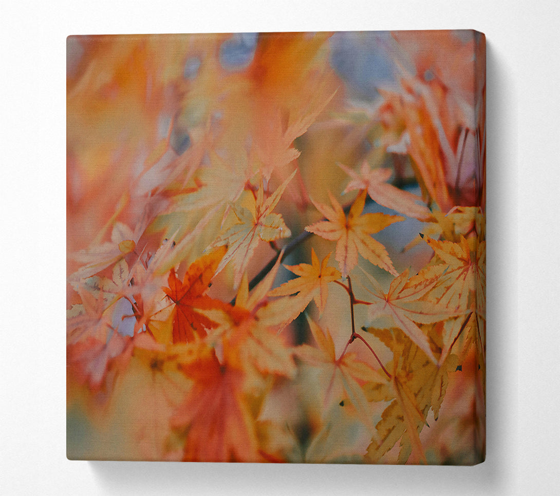  A Canvas Print of Golden Maple Leaves Canvas Wall Art