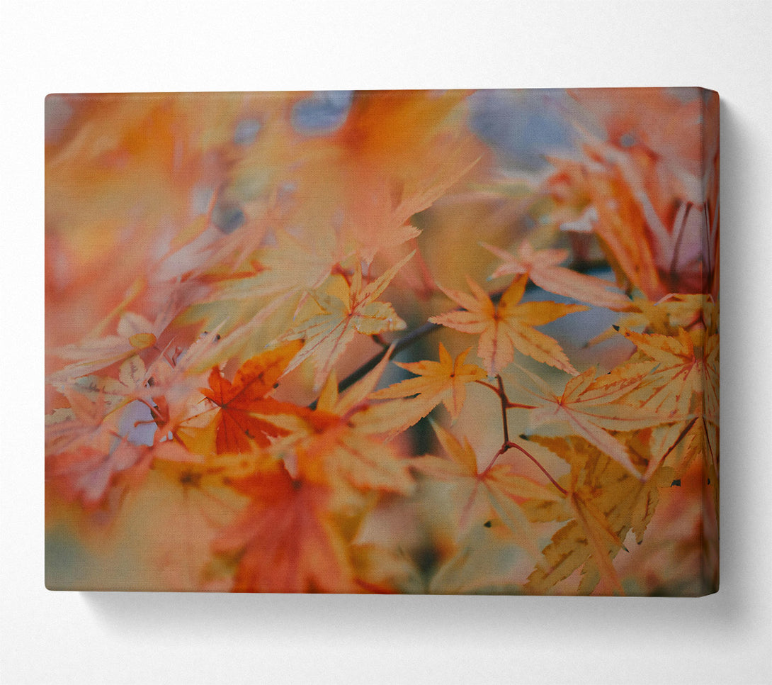  A Canvas Print of Golden Maple Leaves Canvas Wall Art