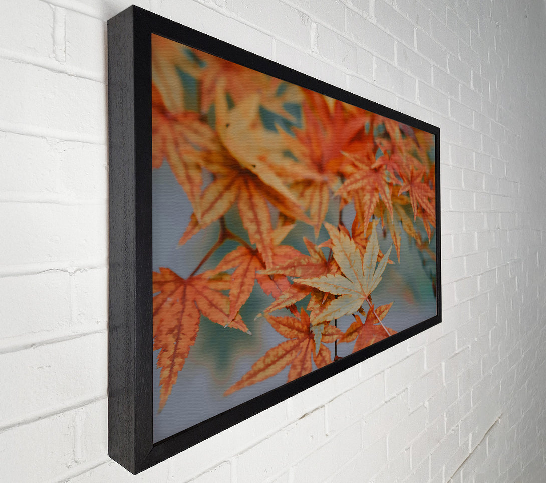  A Canvas Print of Autumn'S Orange Embrace Canvas Wall Art
