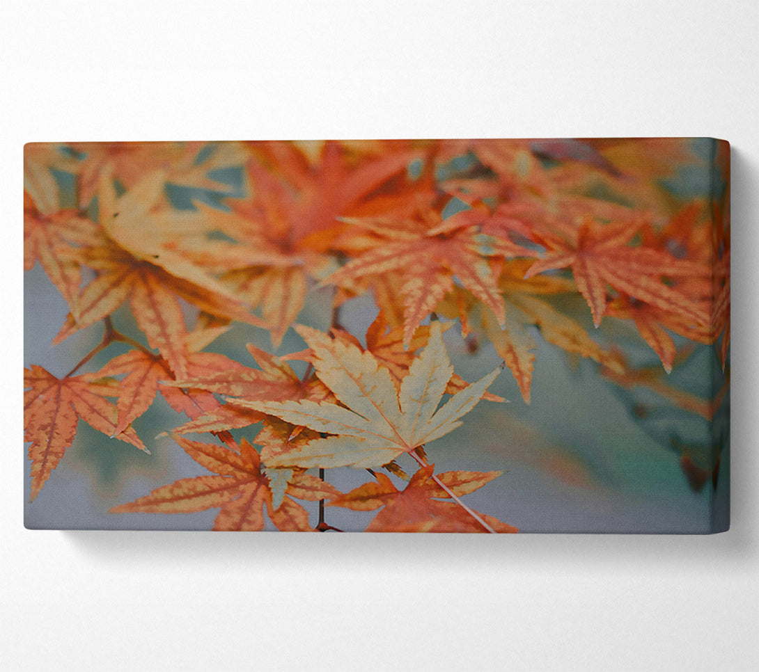  A Canvas Print of Autumn'S Orange Embrace Canvas Wall Art