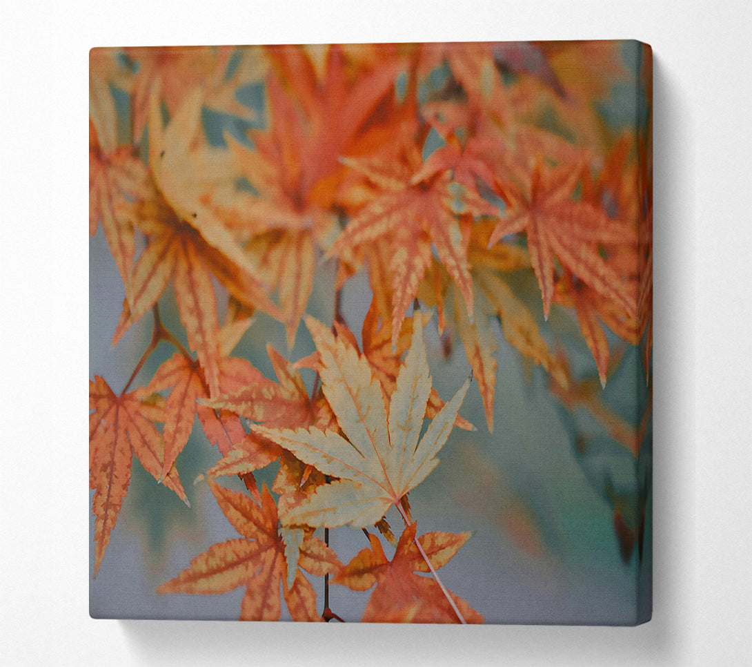  A Canvas Print of Autumn'S Orange Embrace Canvas Wall Art