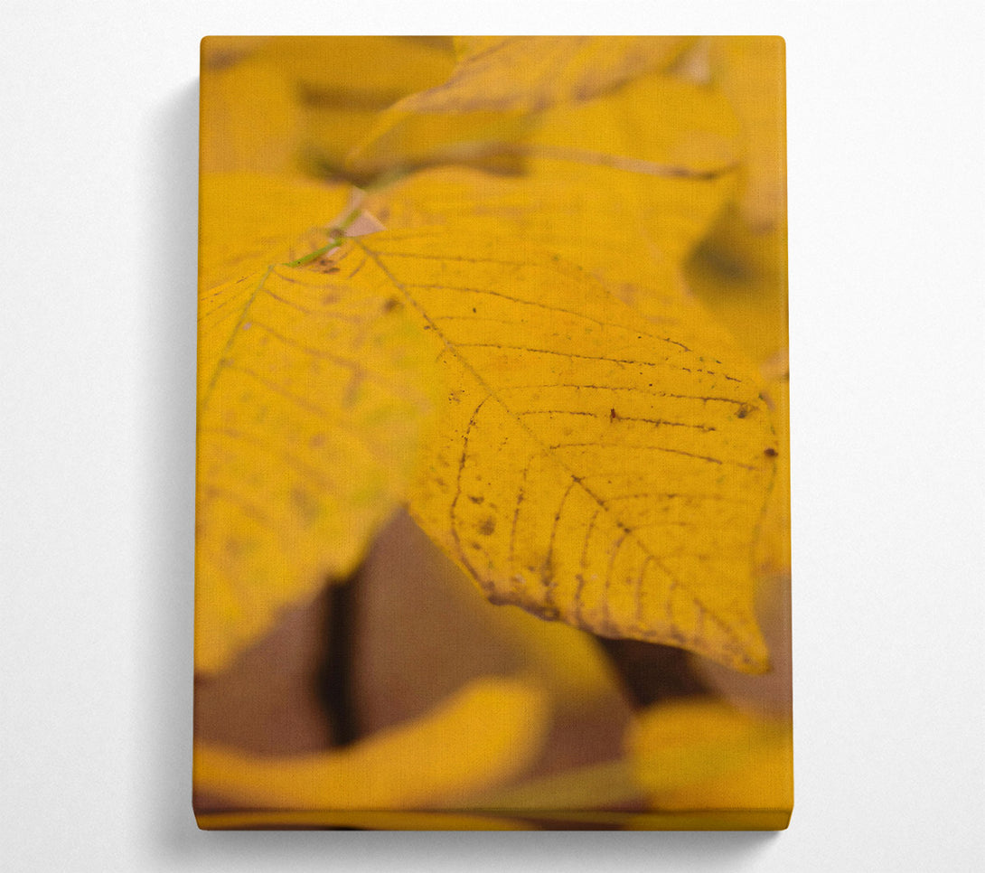  A Canvas Print of Golden Autumn Leaf Canvas Art