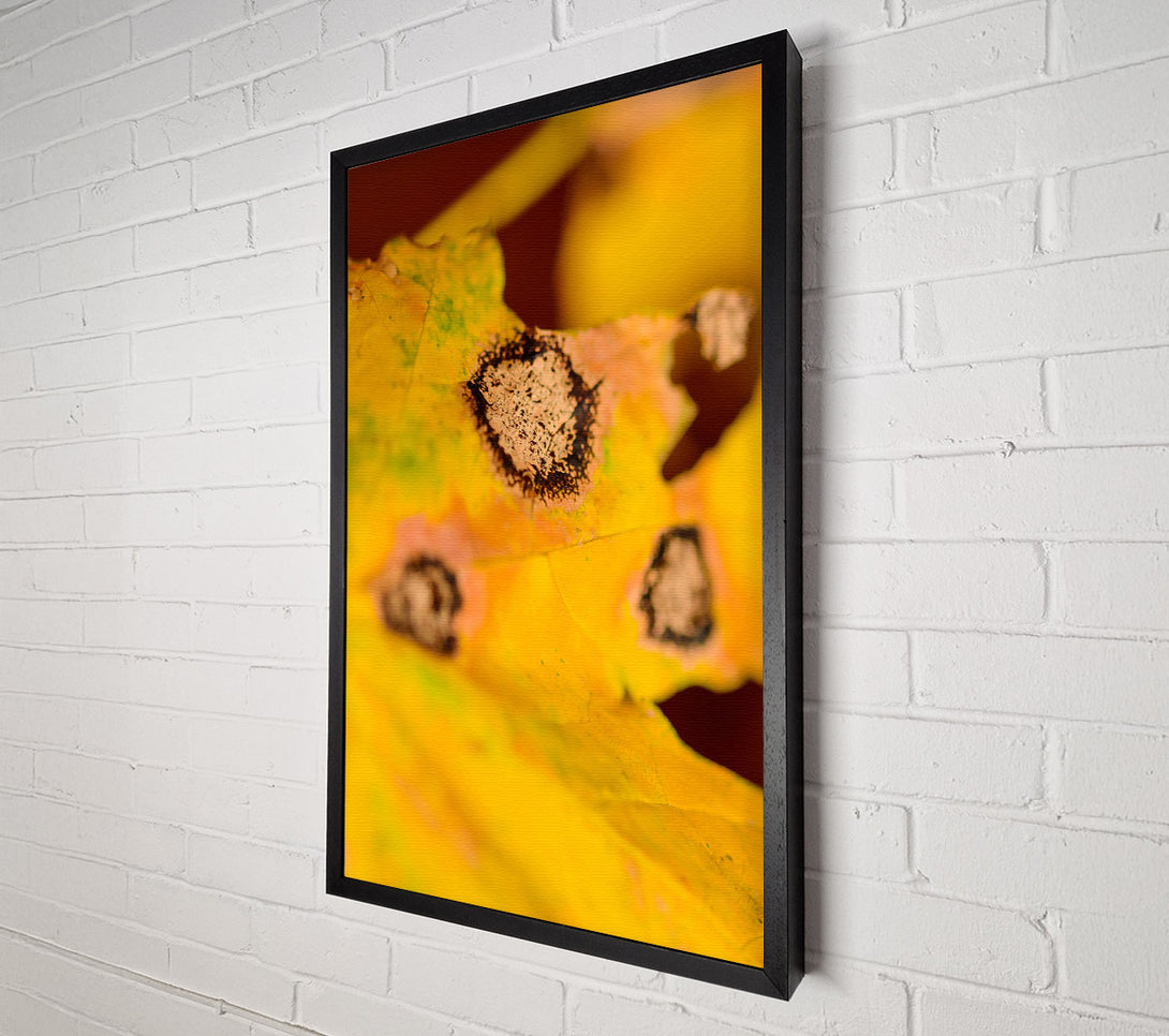  A Canvas Print of Golden Autumn Spots Canvas Wall Art