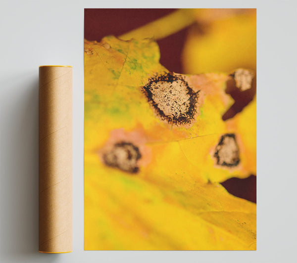 Golden Autumn Spots Print