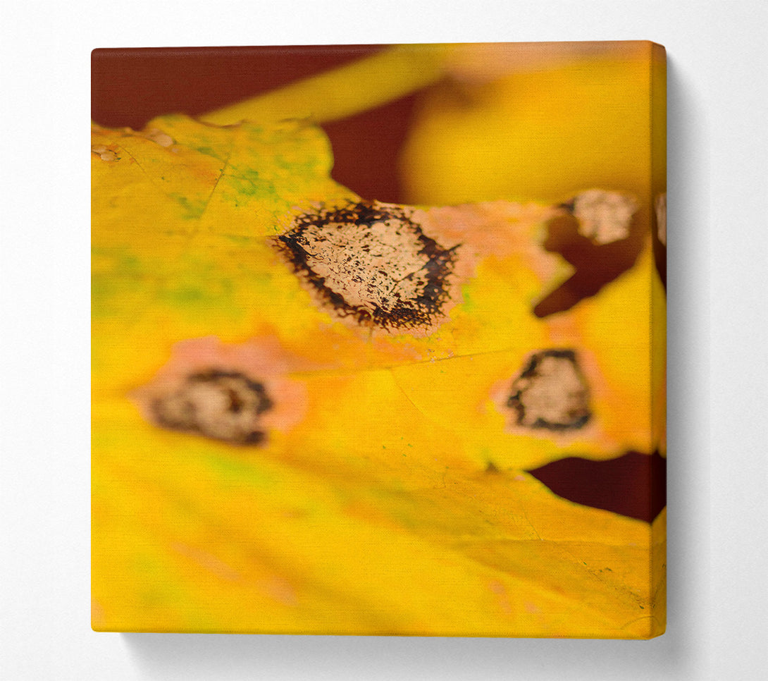  A Canvas Print of Golden Autumn Spots Canvas Wall Art