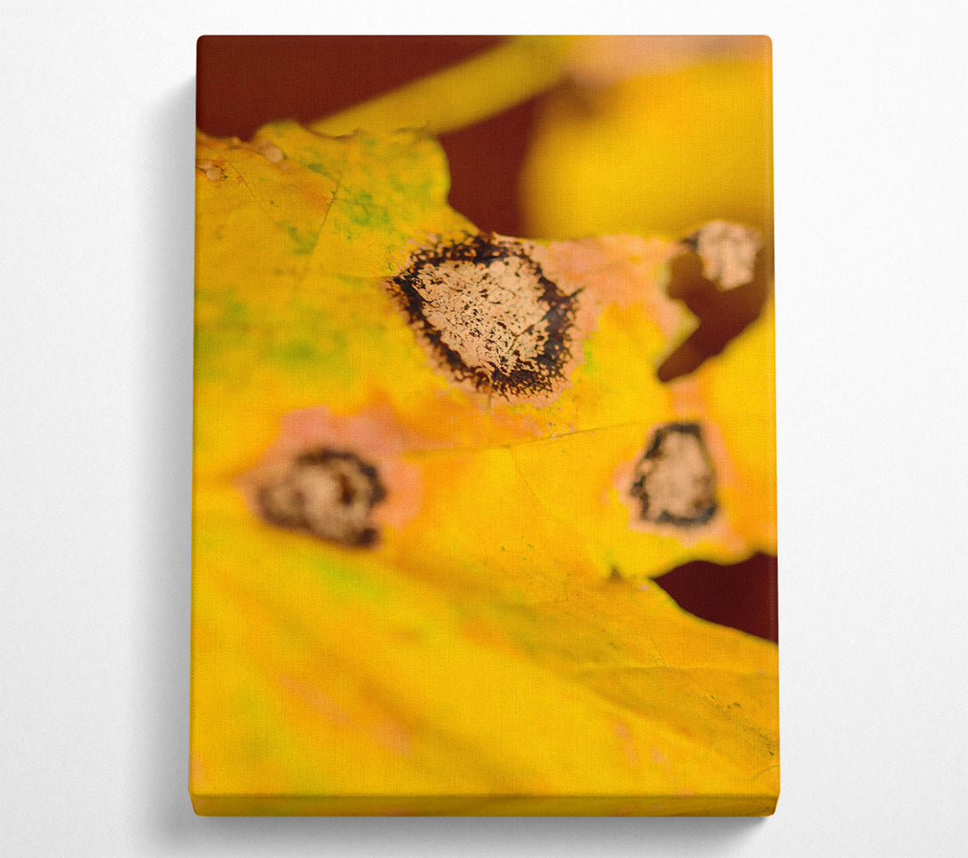  A Canvas Print of Golden Autumn Spots Canvas Wall Art