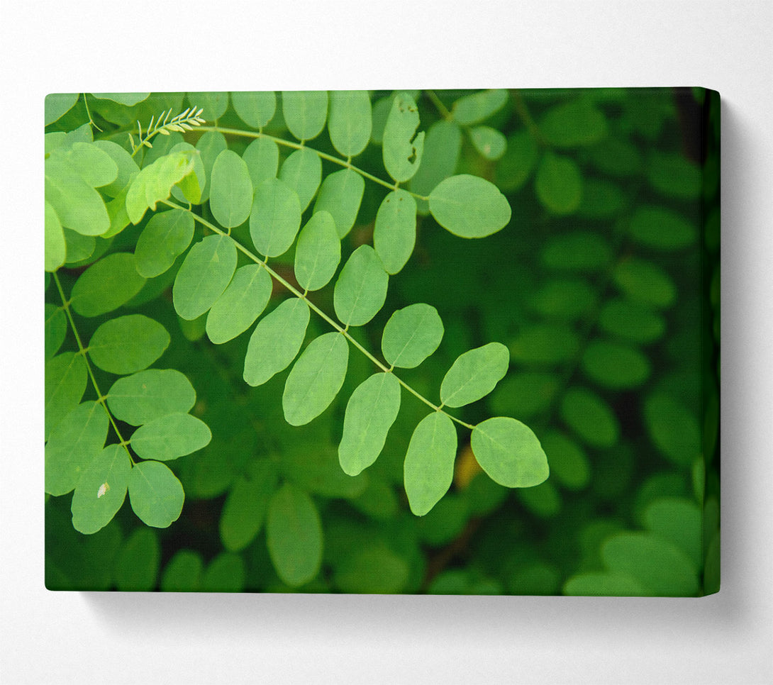  A Canvas Print of Emerald Leaf Symphony Canvas Art