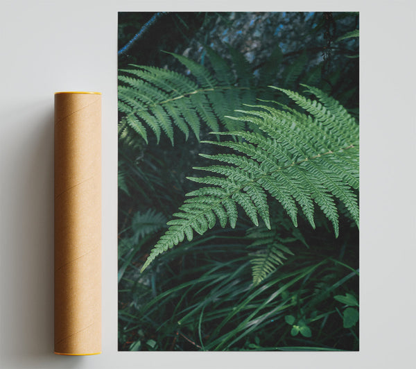 Emerald Forest Fronds Poster