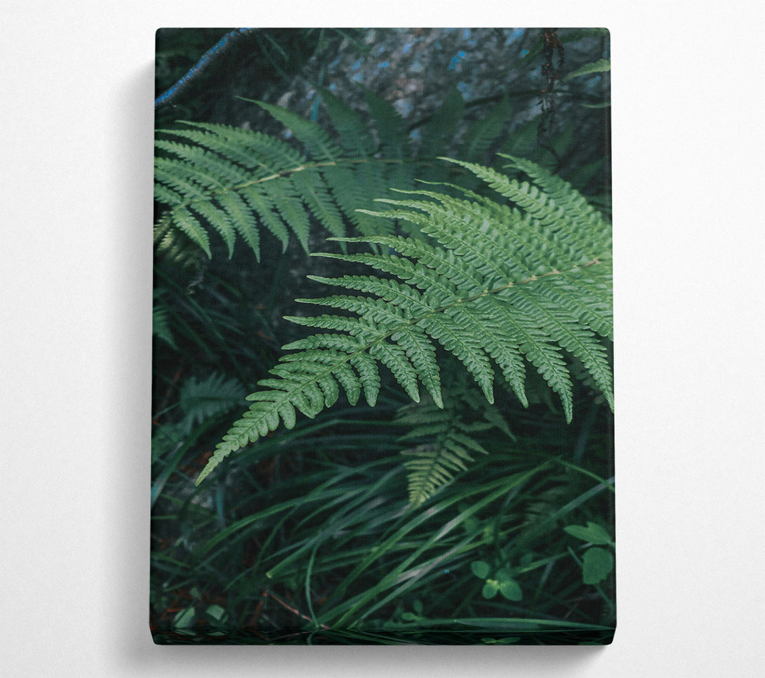  A Canvas Print of Emerald Forest Fronds Canvas Wall Art