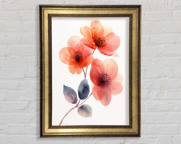 Pink Flowers On White Framed Print