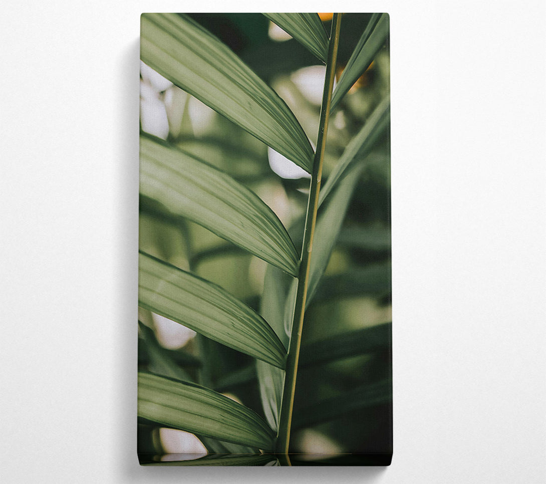  A Canvas Print of Emerald Green Fronds Canvas Wall Art
