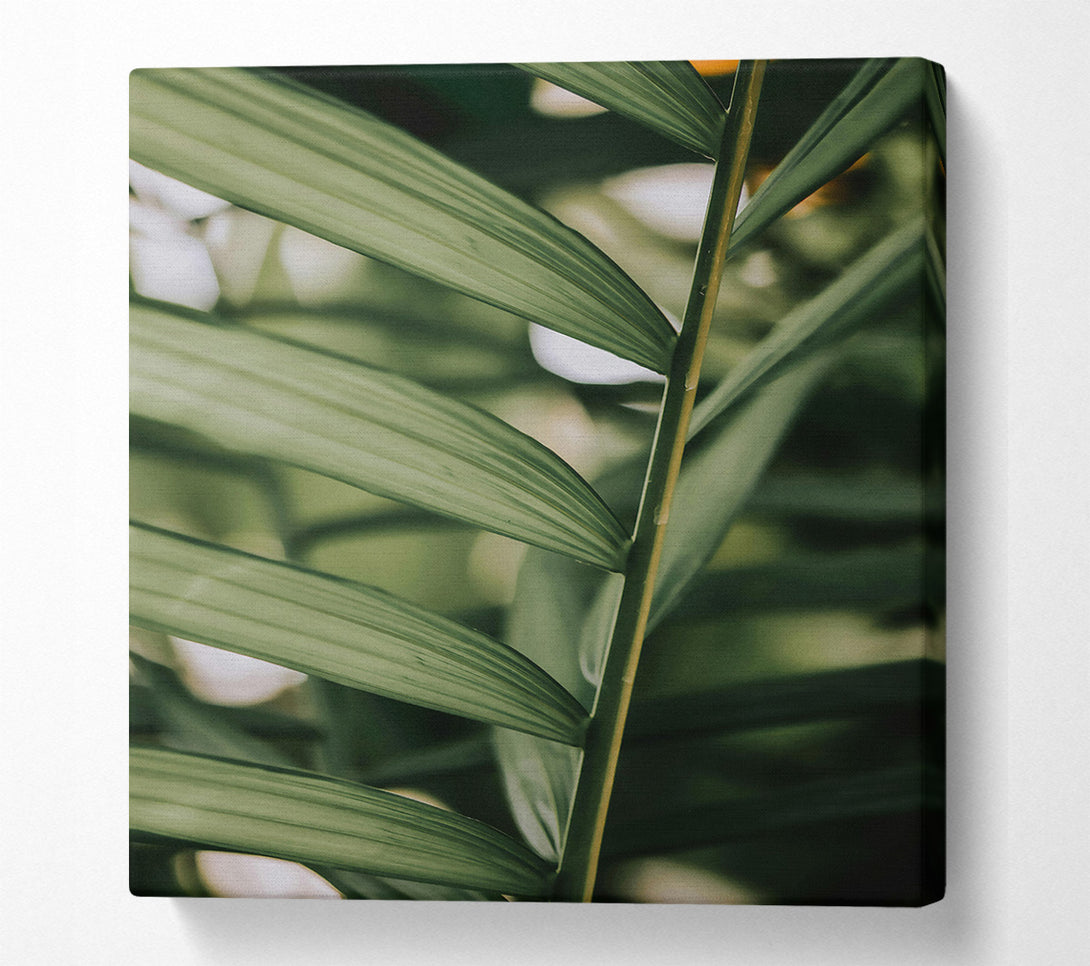 A Canvas Print of Emerald Green Fronds Canvas Wall Art