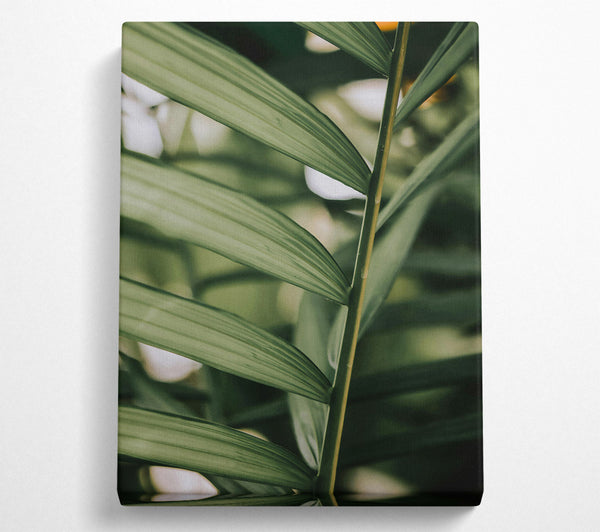  A Canvas Print of Emerald Green Fronds Canvas Wall Art
