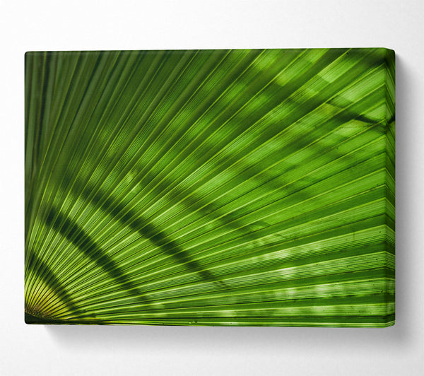  A Canvas Print of Emerald Palm Fronds Canvas Art
