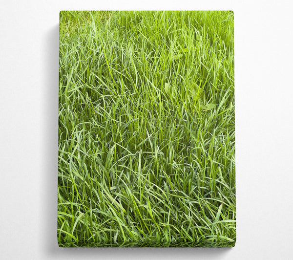  A Canvas Print of Emerald Green Blades Canvas Wall Art