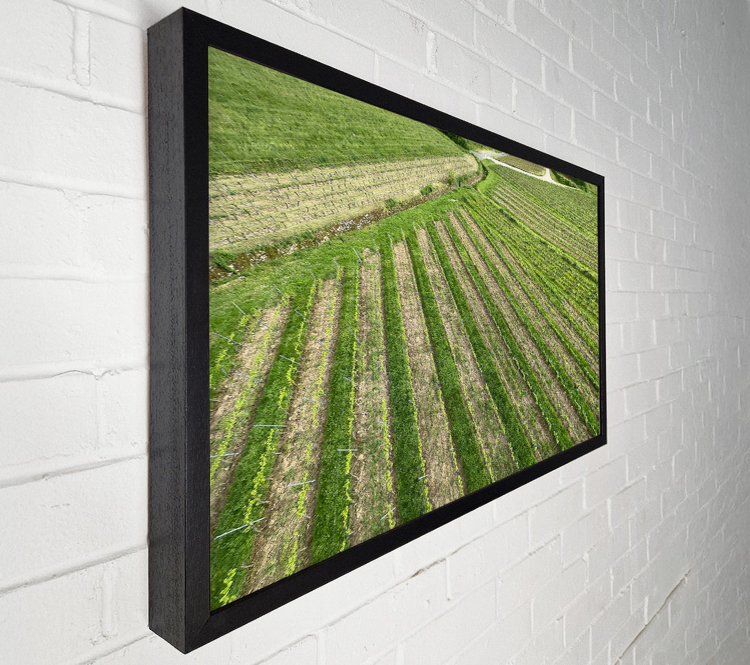  A Canvas Print of Green Rows Of Life Canvas Wall Art