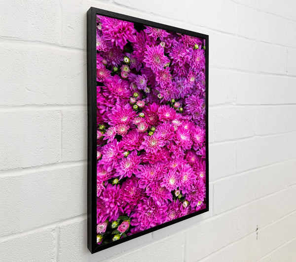 Fuchsia Floral Delight