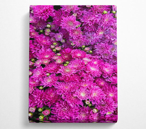  A Canvas Print of Fuchsia Floral Delight Canvas Art