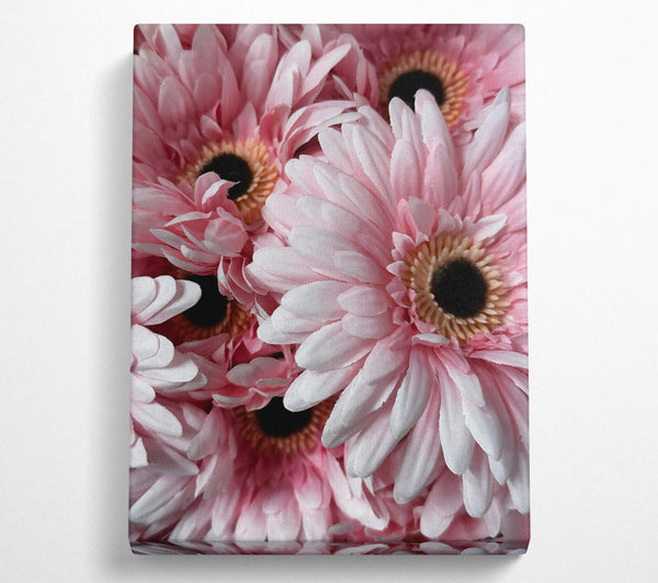  A Canvas Print of Pink Blooms Clustered Canvas Wall Art