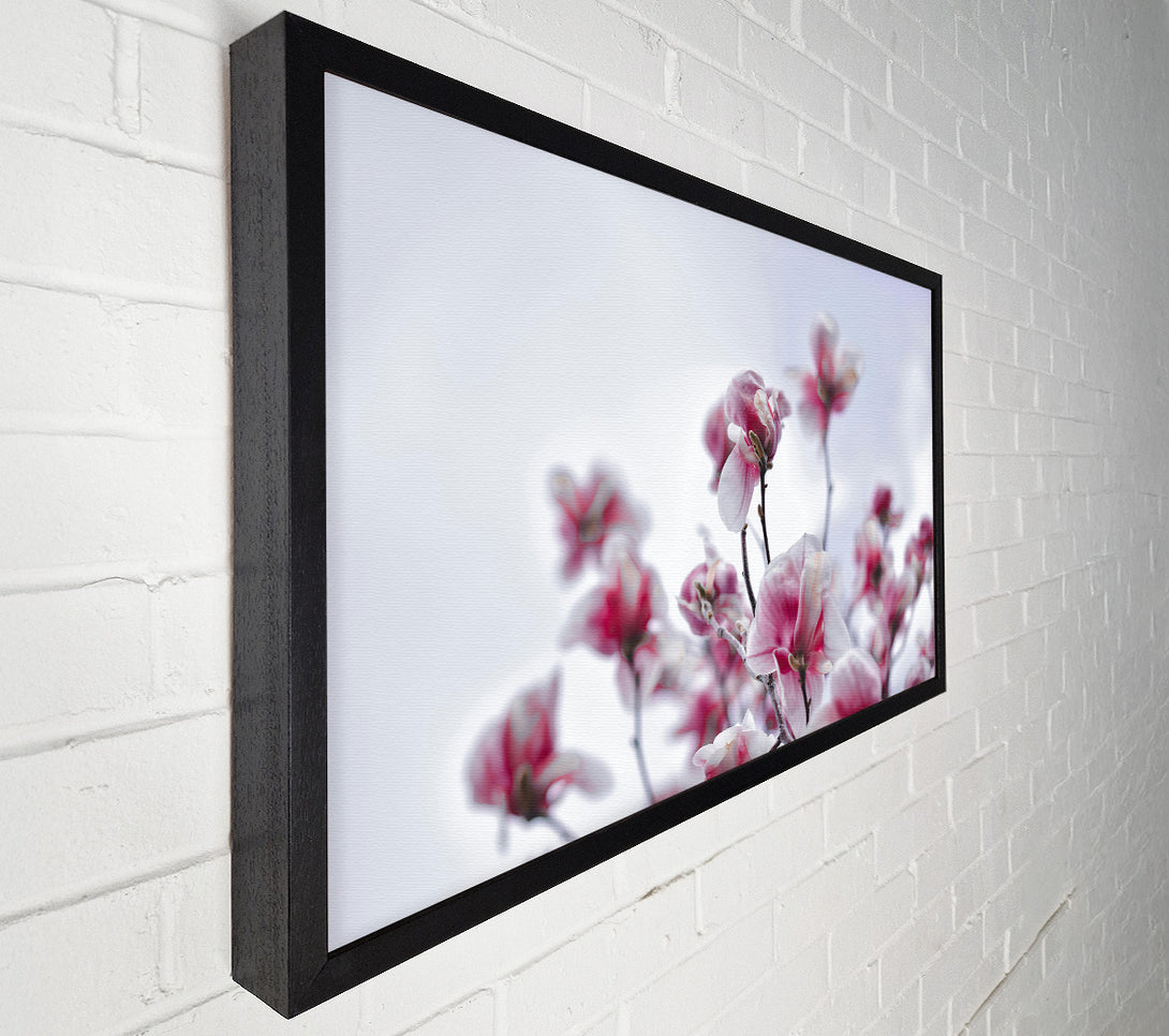  A Canvas Print of Pink Blooms Ascending Canvas Print