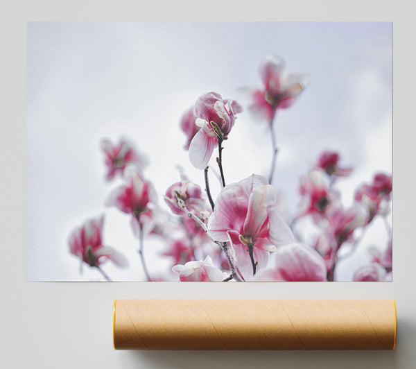 Pink Blooms Ascending Giclee Print