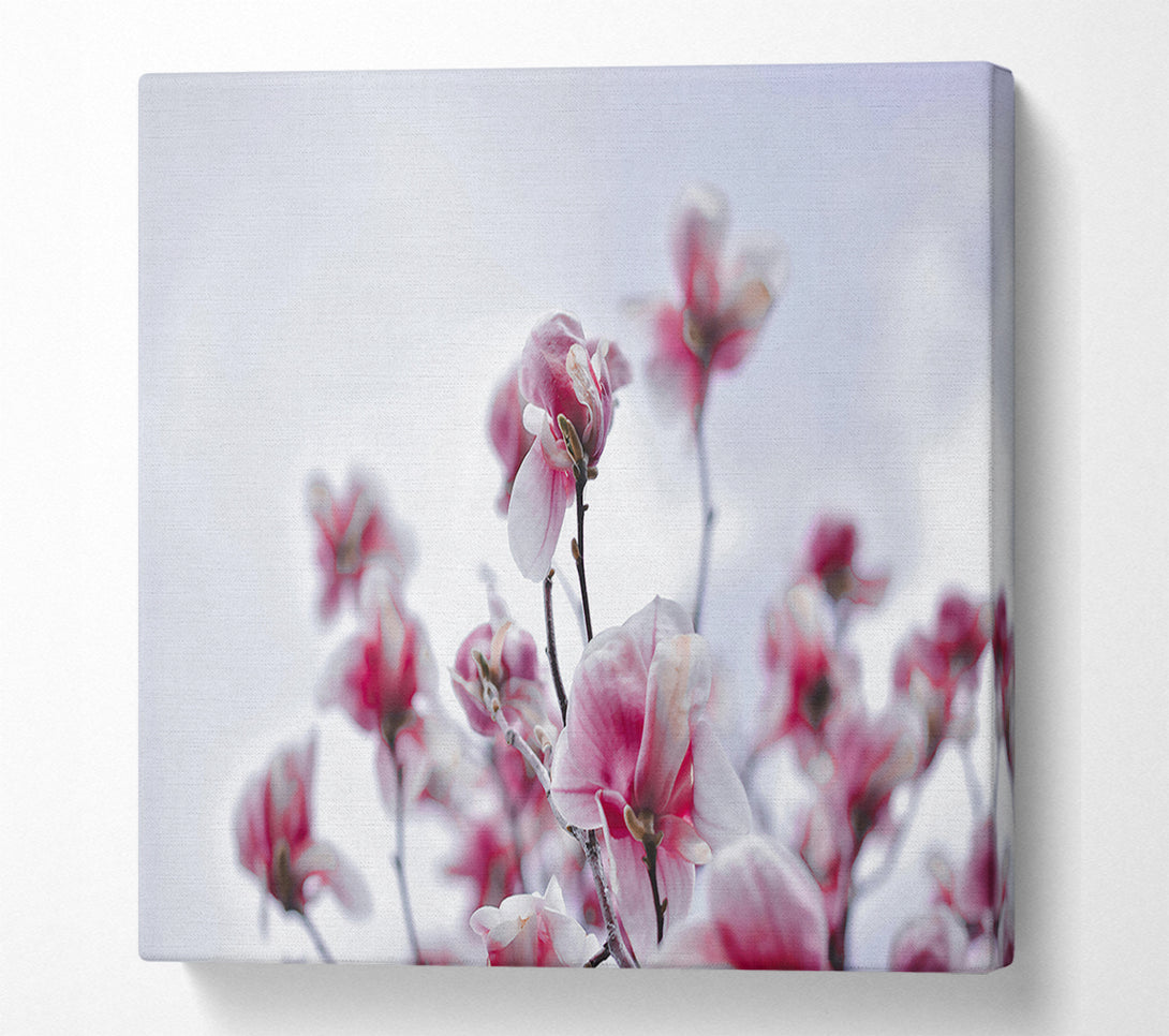  A Canvas Print of Pink Blooms Ascending Canvas Print
