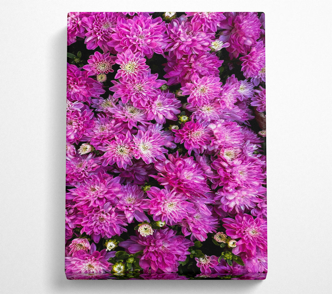  A Canvas Print of Pink Flower Field Canvas Art