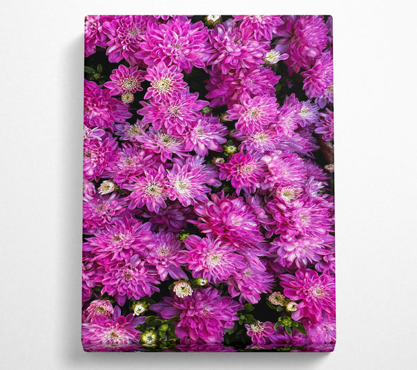  A Canvas Print of Pink Flower Field Canvas Art