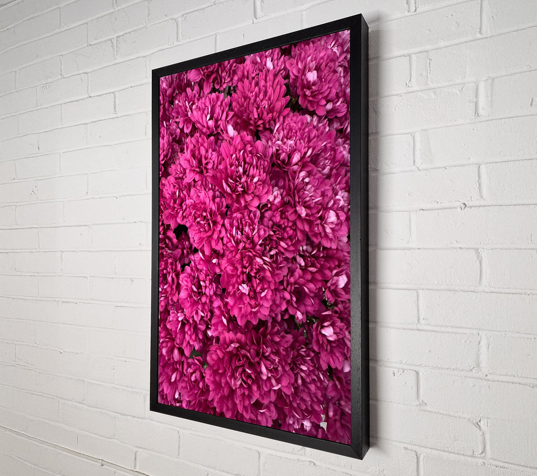  A Canvas Print of Fuchsia Flower Burst Canvas Wall Art