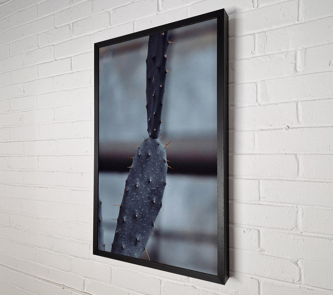  A Canvas Print of Black Cactus After Rain Canvas Art
