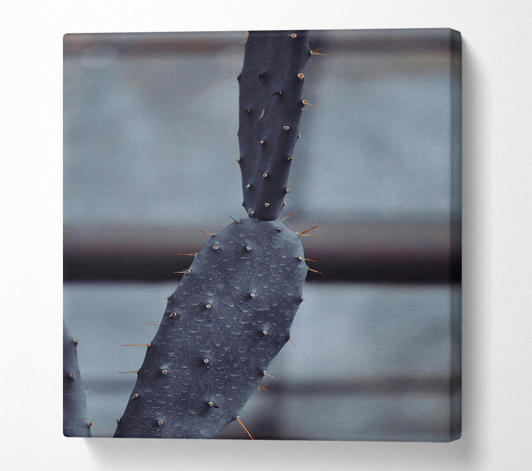  A Canvas Print of Black Cactus After Rain Canvas Art
