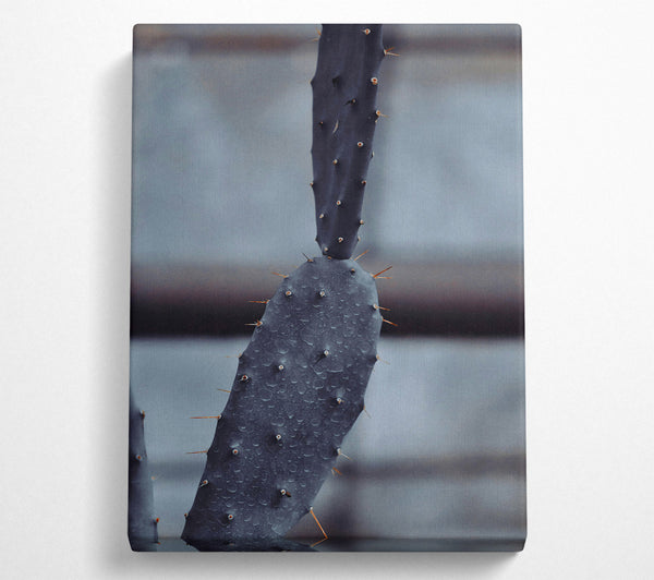  A Canvas Print of Black Cactus After Rain Canvas Art