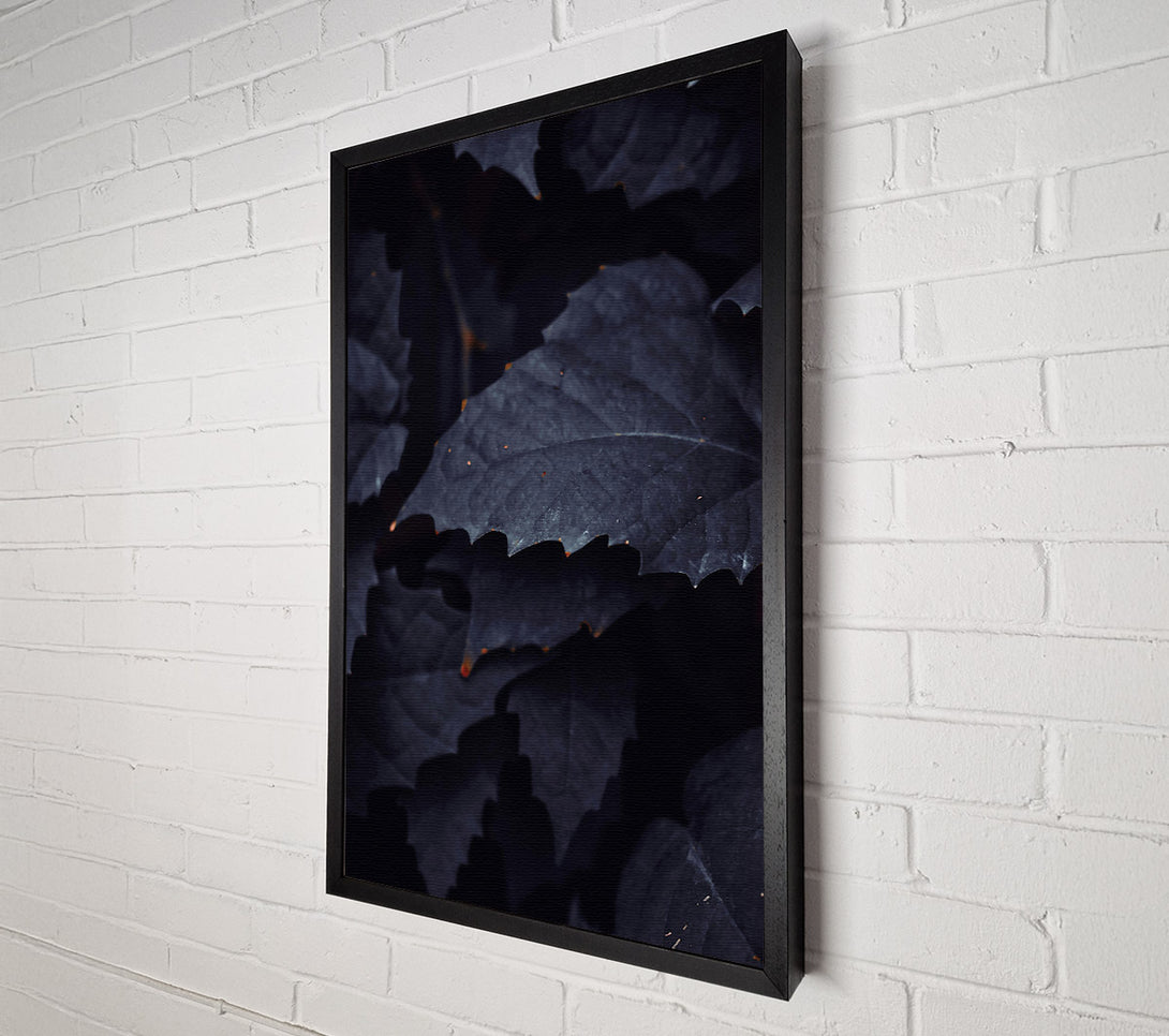  A Canvas Print of Midnight Leaf Shadows Canvas Wall Art
