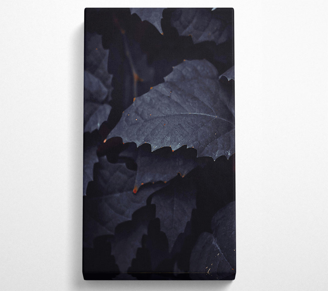  A Canvas Print of Midnight Leaf Shadows Canvas Wall Art