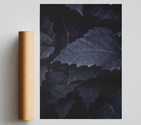 Midnight Leaf Shadows Giclee Print