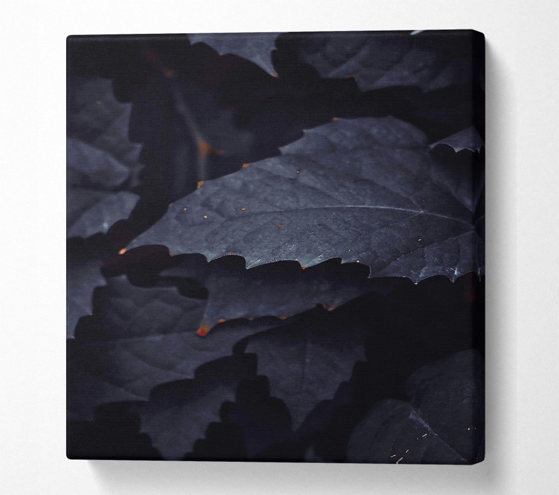  A Canvas Print of Midnight Leaf Shadows Canvas Wall Art