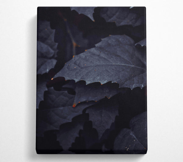  A Canvas Print of Midnight Leaf Shadows Canvas Wall Art