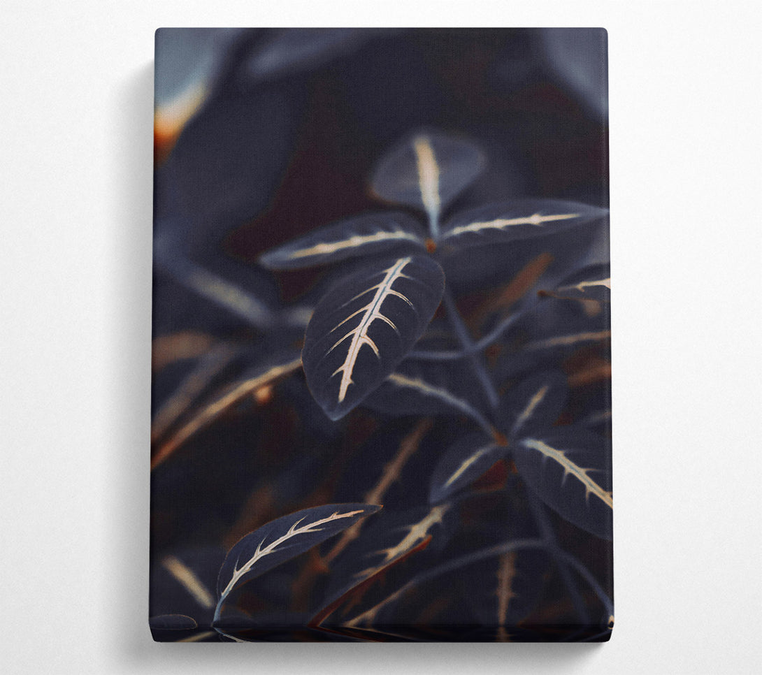  A Canvas Print of Dark Green Veins Canvas Print