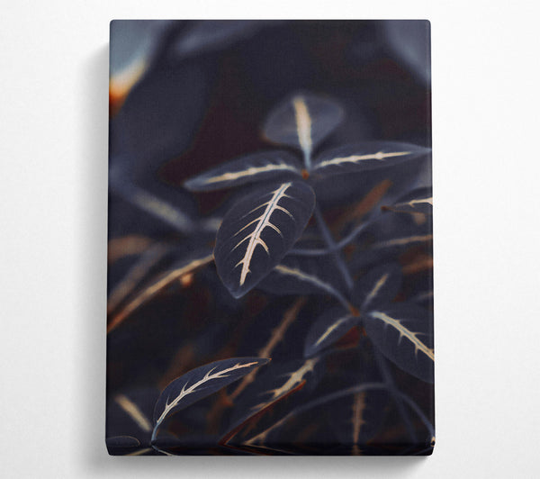  A Canvas Print of Dark Green Veins Canvas Print