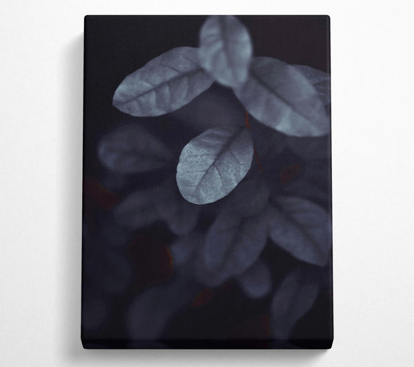  A Canvas Print of Indigo Leaf Shadows Canvas Print