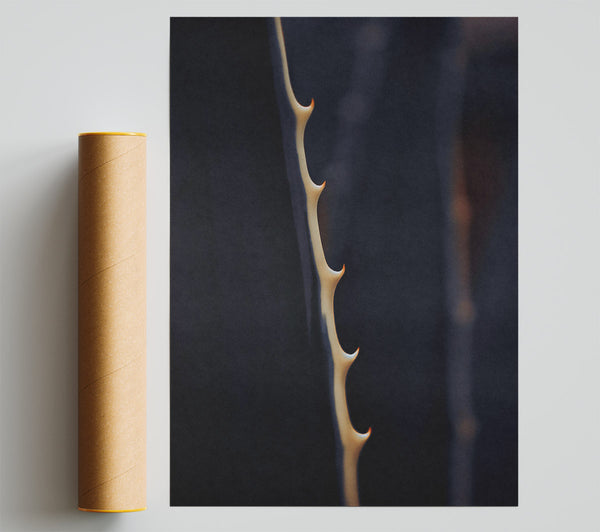 Pale Thorns On Blue Poster