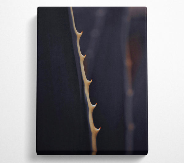  A Canvas Print of Pale Thorns On Blue Canvas Art