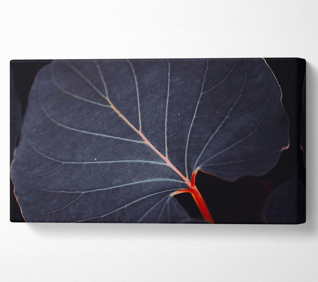  A Canvas Print of Indigo Leaf Vein Canvas Wall Art