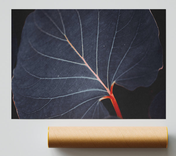 Indigo Leaf Vein Giclee Print