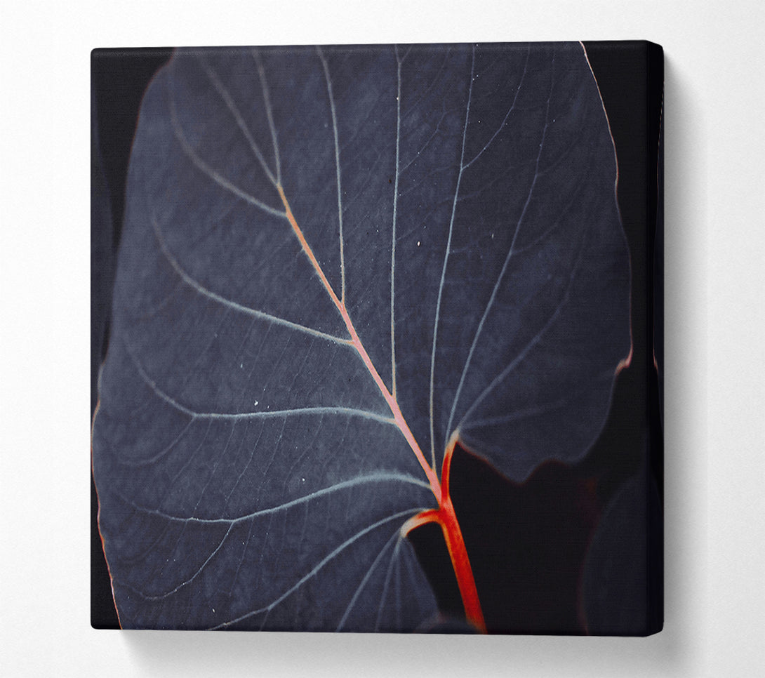  A Canvas Print of Indigo Leaf Vein Canvas Wall Art