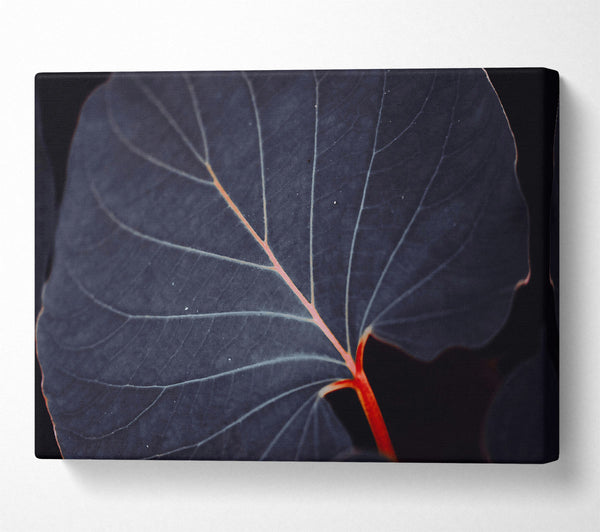  A Canvas Print of Indigo Leaf Vein Canvas Wall Art