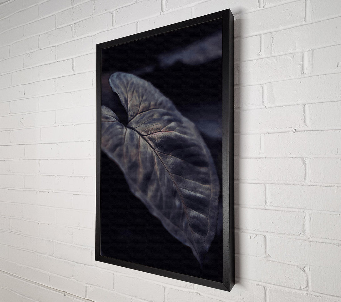  A Canvas Print of The Grey Embrace Canvas Art