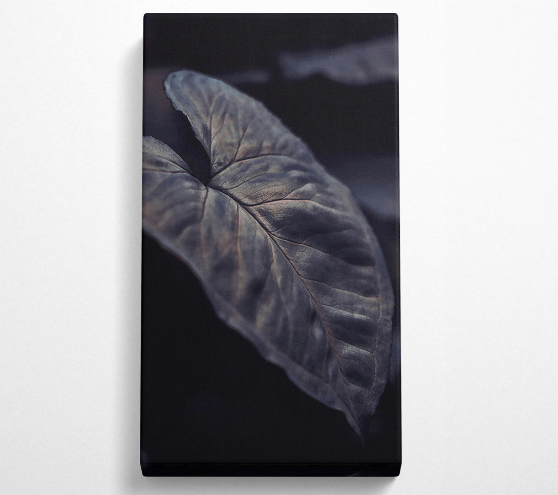  A Canvas Print of The Grey Embrace Canvas Art