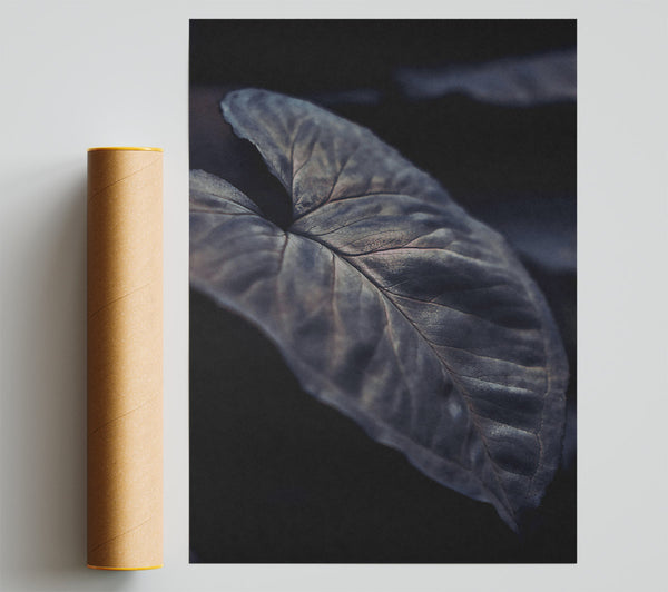 The Grey Embrace Poster
