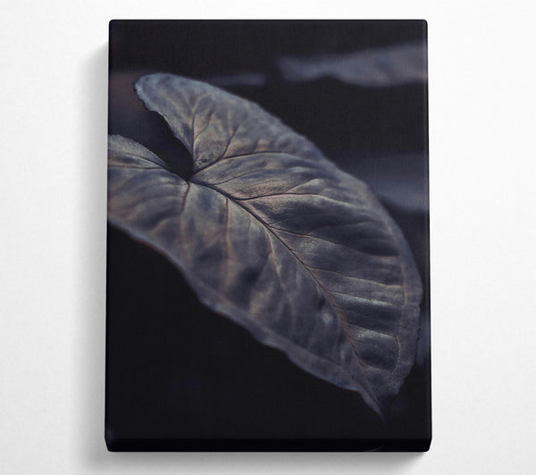  A Canvas Print of The Grey Embrace Canvas Art